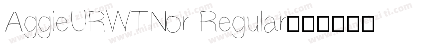AggieURWTNor Regular字体转换